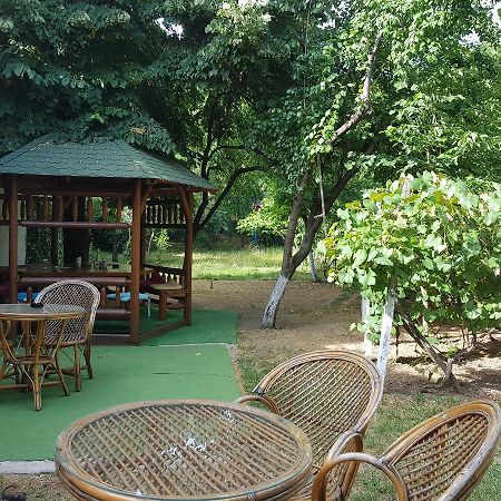 Casa Boiereasca Hostel Craiova Ngoại thất bức ảnh