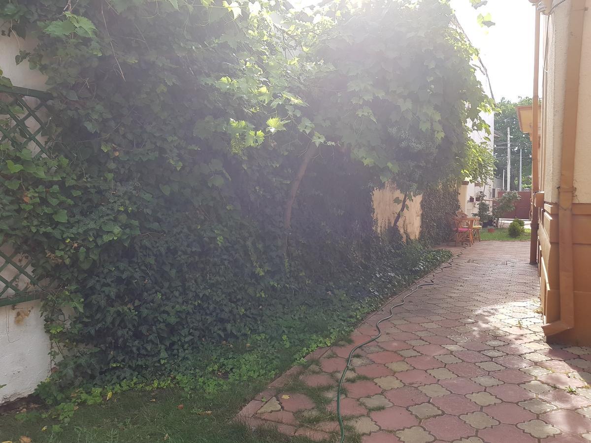 Casa Boiereasca Hostel Craiova Ngoại thất bức ảnh
