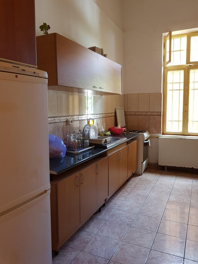 Casa Boiereasca Hostel Craiova Ngoại thất bức ảnh